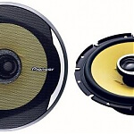 Pioneer TS-E1776